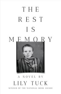 Book Cover for The Rest Is Memory by Lily Tuck