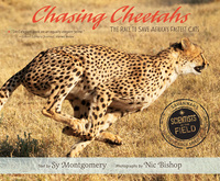 Book Cover for Chasing Cheetahs by Sy Montgomery