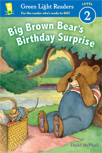Book Cover for Big Brown Bear's Birthday Surprise by David McPhail