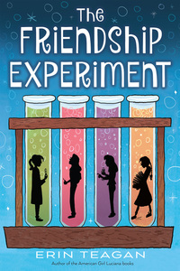 Book Cover for The Friendship Experiment by Erin Teagan