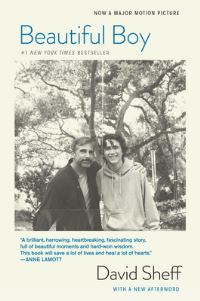 Book Cover for Beautiful Boy by David Sheff