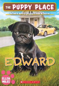 Book Cover for Edward by Ellen Miles