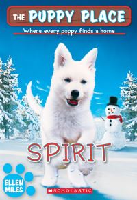 Book Cover for Spirit by Ellen Miles