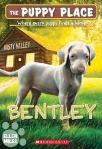 Book Cover for Bentley by Ellen Miles