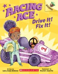 Book Cover for Drive It! Fix It! by Larry Dane Brimner