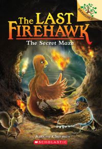 Book Cover for The Secret Maze by Katrina Charman