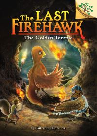 Book Cover for The Secret Maze: A Branches Book (The Last Firehawk #10) by Katrina Charman