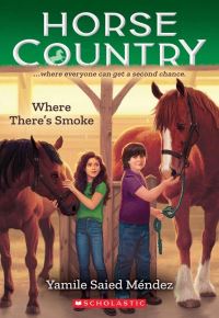 Book Cover for Where There's Smoke by Yamile Saied Méndez