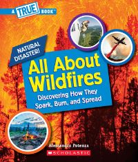 Book Cover for All About Wildfires by Alessandra Potenza