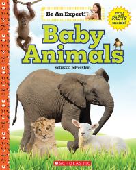 Book Cover for Baby Animals by Rebecca Silverstein