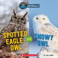 Book Cover for Spotted Eagle-Owl or Snowy Owl (Wild World by Eric Geron