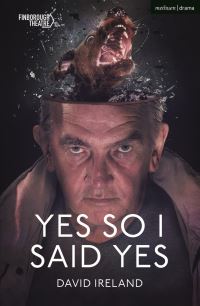 Book Cover for Yes So I Said Yes by David Ireland