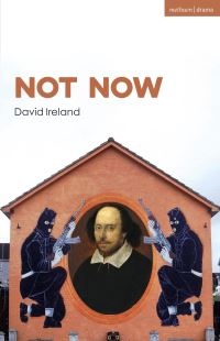 Book Cover for Not Now by David Ireland
