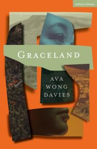 Book Cover for Graceland by Ava Wong Davies