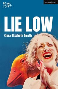 Book Cover for Lie Low by Ciara Elizabeth Smyth