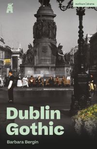 Book Cover for Dublin Gothic by Barbara Bergin
