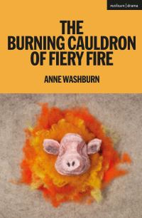 Book Cover for The Burning Cauldron of Fiery Fire by Anne Washburn