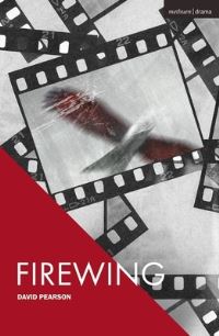Book Cover for Firewing by David A Pearson