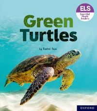 Book Cover for Green Turtles by Rachel Russ