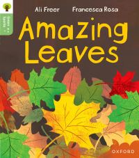 Book Cover for Amazing Leaves by Ali Freer