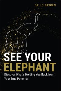 Book Cover for See Your Elephant by Jo Brown