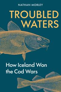 Book Cover for Troubled Waters by Nathan Morley