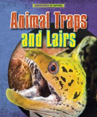 Book Cover for Animal Homes and Hang-Outs by Louise Spilsbury