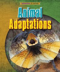 Book Cover for Animal Adaptations by Louise Spilsbury