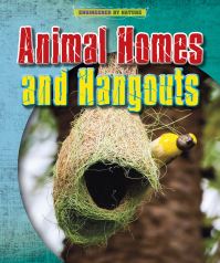 Book Cover for Animal Homes and Hang-Outs by Louise Spilsbury