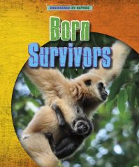 Book Cover for Born Survivors by Louise Spilsbury