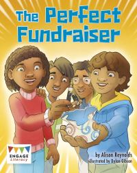 Book Cover for The Perfect Fundraiser by Alison Reynolds