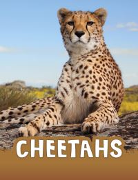 Book Cover for Cheetahs by Jaclyn Jaycox