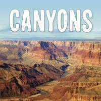 Book Cover for Canyons by Lisa J Amstutz