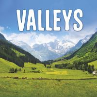 Book Cover for Valleys by Lisa J Amstutz