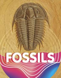 Book Cover for Fossils by Keli Sipperley