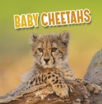 Book Cover for Baby Cheetahs by Martha E H Rustad