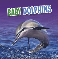 Book Cover for Baby Dolphins by Martha E H Rustad