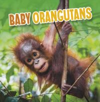 Book Cover for Baby Orangutans by Martha E H Rustad