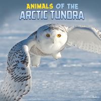 Book Cover for Animals of the Arctic Tundra by Martha E H Rustad