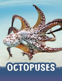 Book Cover for Octopuses by Jaclyn Jaycox