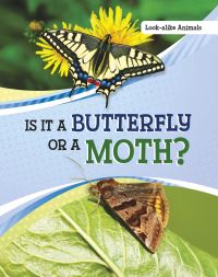 Book Cover for Is It a Butterfly or a Moth? by Susan B Katz