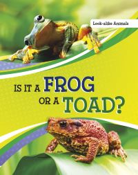 Book Cover for Is It a Frog or a Toad? by Susan B Katz