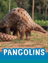 Book Cover for Pangolins by Jaclyn Jaycox