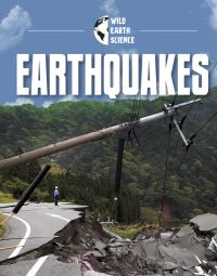 Book Cover for Earthquakes by Golriz Golkar