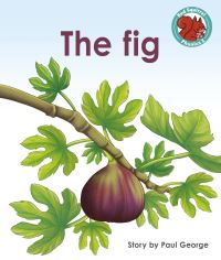 Book Cover for The Fig by Paul George