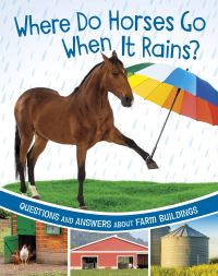 Book Cover for Where Do Horses Go When It Rains? by Katherine Rawson