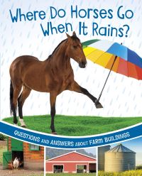 Book Cover for Where Do Horses Go When It Rains? by Katherine Rawson