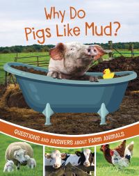 Book Cover for Why Do Pigs Like Mud? by Katherine Rawson