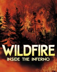 Book Cover for Wildfire by Jaclyn Jaycox