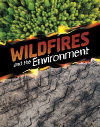 Book Cover for Wildfires and the Environment by Marcia Amidon Lüsted